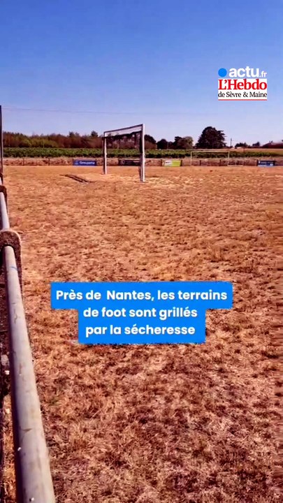 Des terrains de foot grillés à cause de la séch...