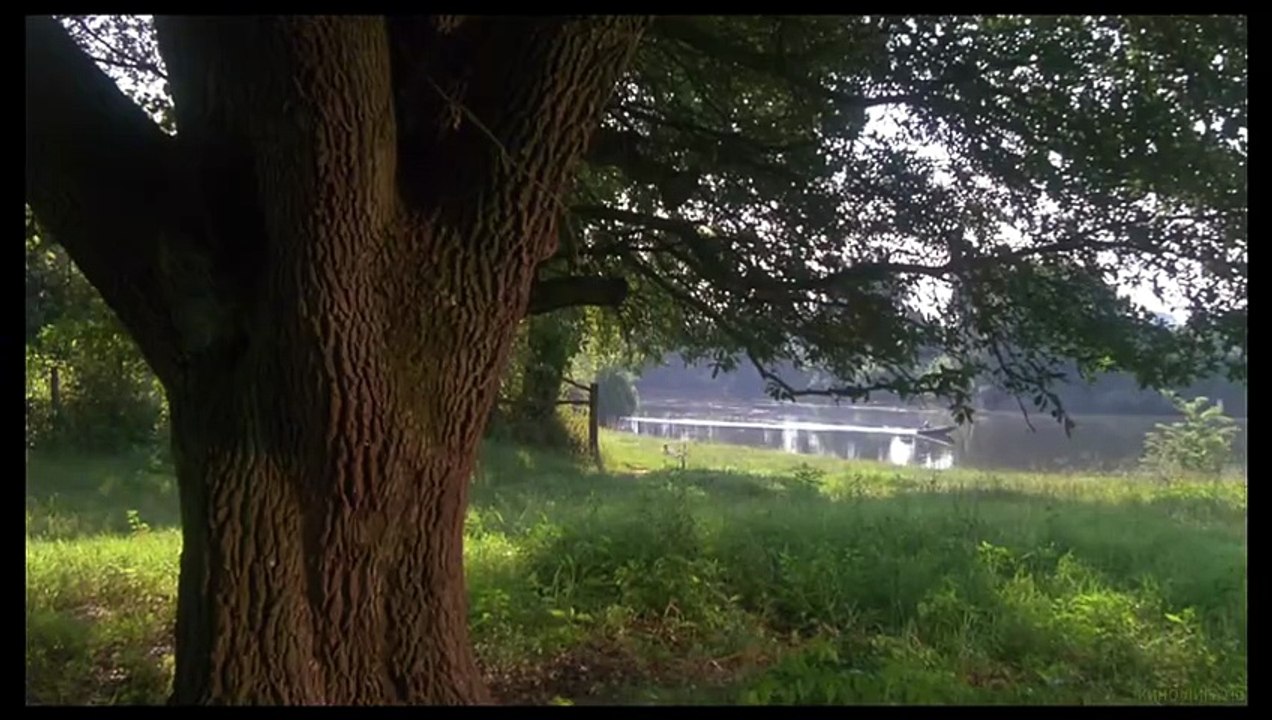 Человек на Луне (1991)