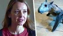 Woman Finds Mysterious Bat-Like Creature In Her Kitchen — Wait Until You See What It Really Is!