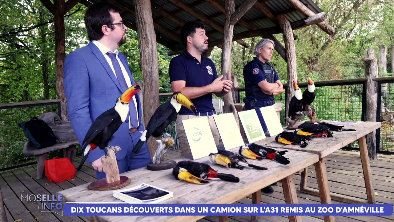 Moselle Info Été du vendredi 21 août 2026