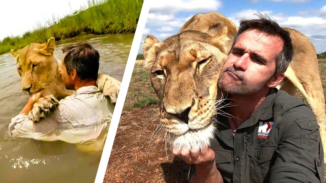 Celebrating a 23 Year UNBREAKABLE BOND with LION Meg! | The Lion Whisperer