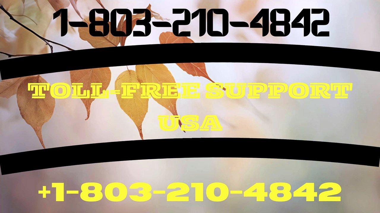 24/7/『Trust Wallet™©』 Help Desk Support© US Toll-Free — Complete 24x7 CUSTOMER Support Options & Channels: 2026 Guide