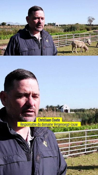 Afrique du Sud : des animaux, agents d'entretie...