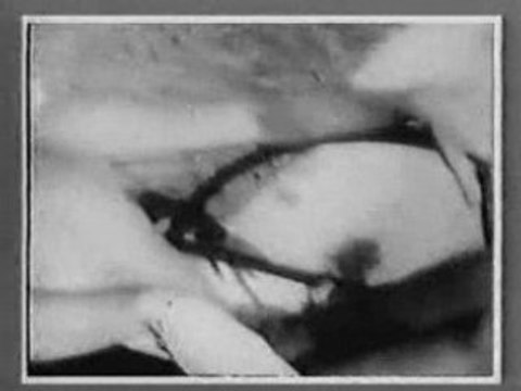 dick rivers, Eddy Mitchell, Johnny Hallyday -