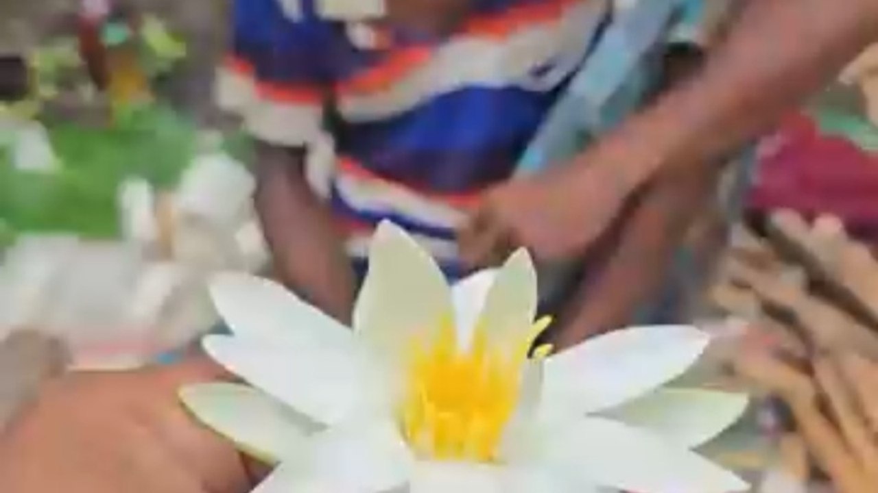 Handmade Water Lily Crafted from Roots