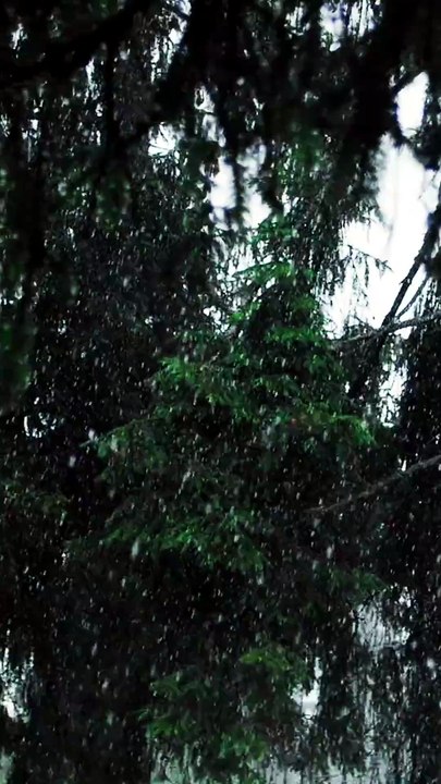 Heavy Rain Sounds for Deep Sleep 🌧️😴
