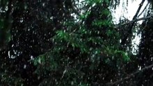 Heavy Rain Sounds for Deep Sleep 🌧️😴