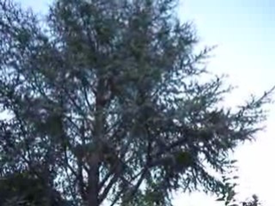 MOV03092