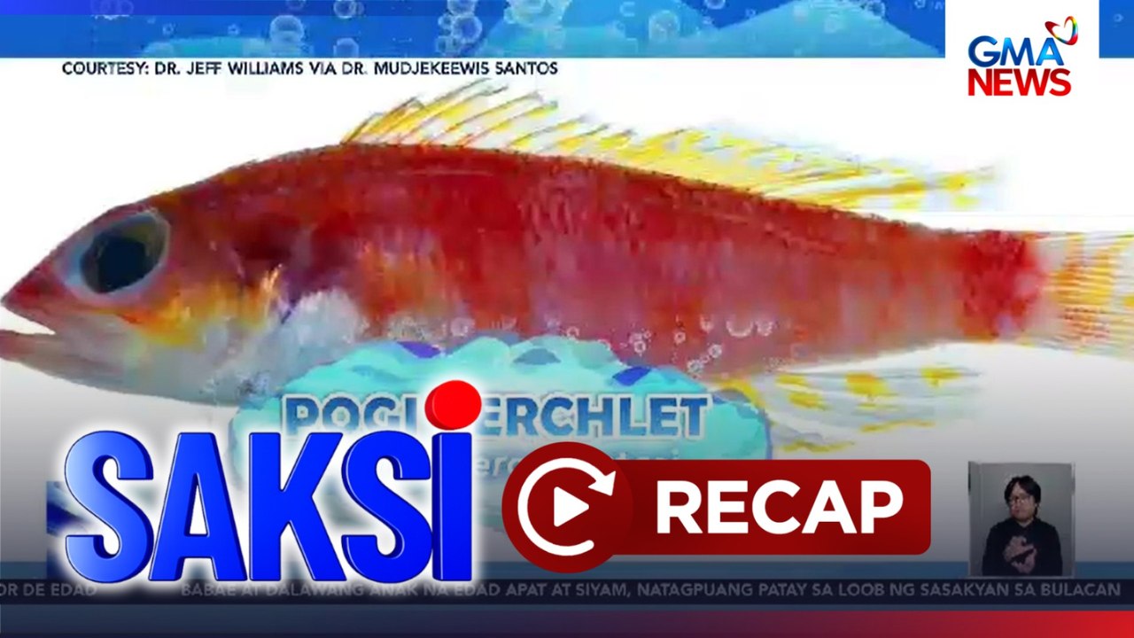Saksi: (Part 3) Weather update; "Pogi" na isda