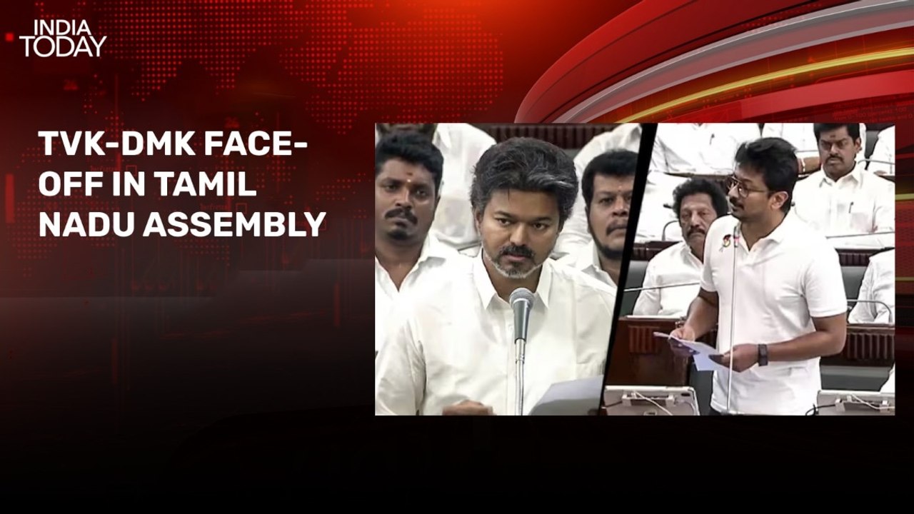 TVK-DMK clash in Tamil Nadu Assembly; Andhra MP’s son hits woman with Aston Martin