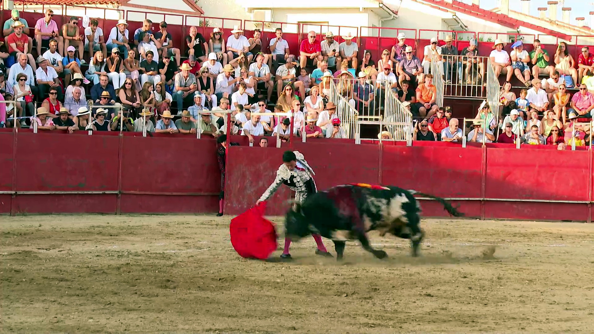 Grana y Oro con los festejos de Roa de Duero, El Burgo de Osma, Guijuelo, El Espinar, Cantalejo, Cebreros y Tafalla, entre otros