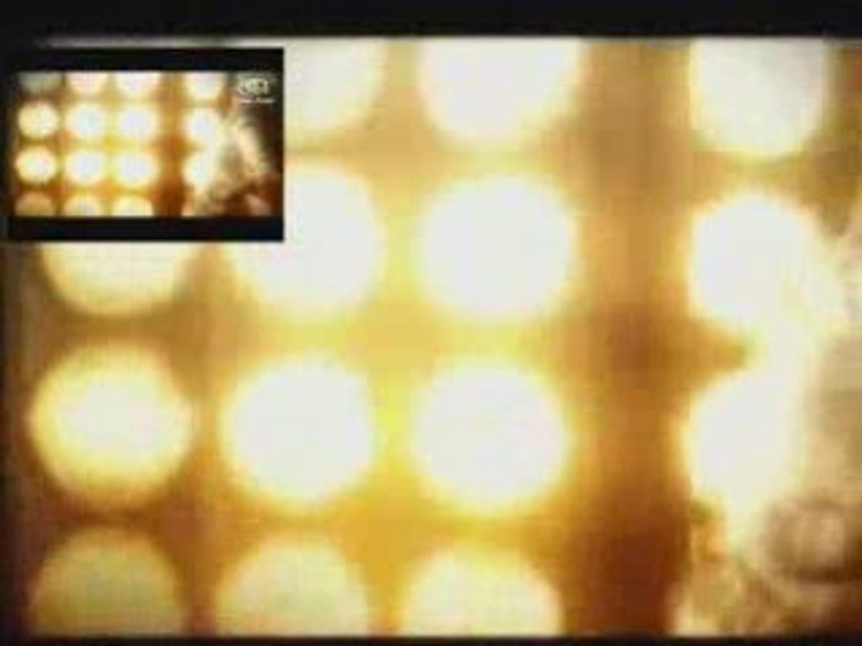 Dona Maria In No Quiero