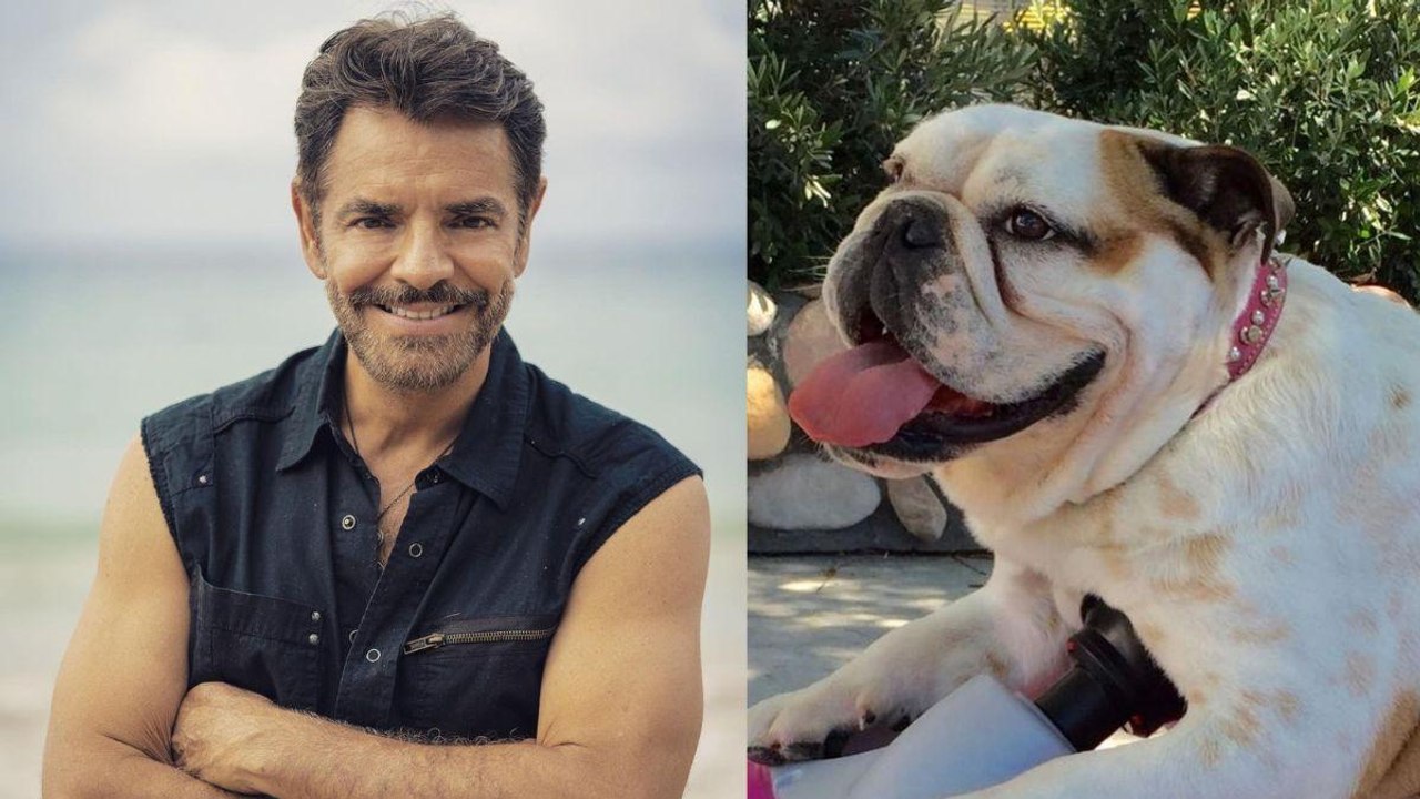 Eugenio Derbez recuerda a su perrita Fiona con...