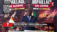 Lutte contre l'orpaillage illégal : Charles Blé Goudé appelle à une résistance nationale
