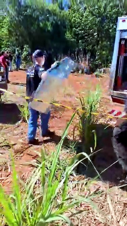 Homem preso em Umuarama indicou onde estavam corpos de primas desaparecidas