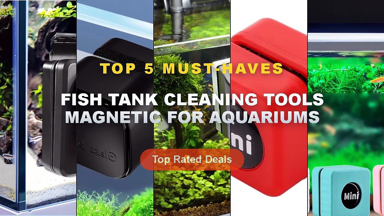 Top 5 Best Fish Tank Cleaning Tools Magnetic Fo...