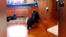 VID-20260821-WA0001