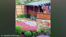 VID-20260821-WA0000