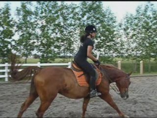 Mister zip cyrano zan_0002