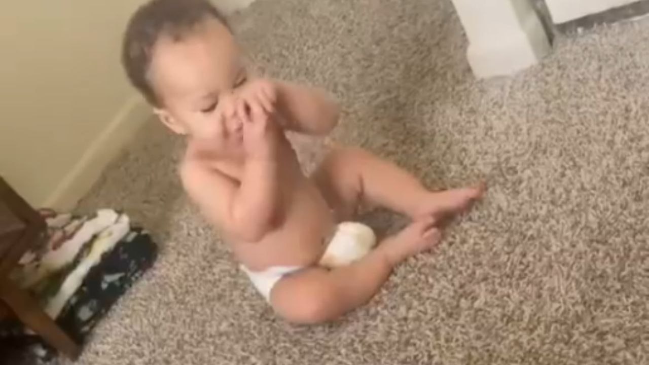8-Month-Old Baby Encounters Puppy for the First Time, Reacts with Confusion