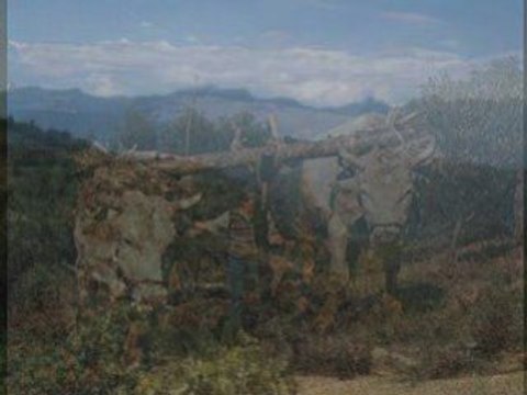 AKLI YAHIATEN algerie mon pays