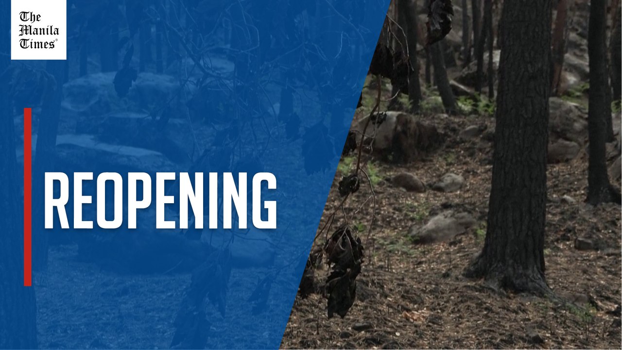 Popular forest near Paris to reopen after wildfire
