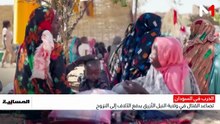 نشرة المسائية - 21/08/2026