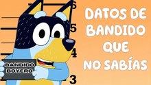 Datos de Bandit que DEBES saber - BLUEY
