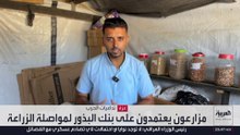 غزة.. 3% فقط من الأراضي ما زالت صالحة للزراعة