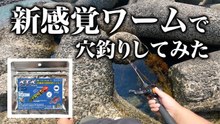 【穴釣り】新感覚ワームで穴釣りしてみた！釣れるか忖度無しにガチ検証
