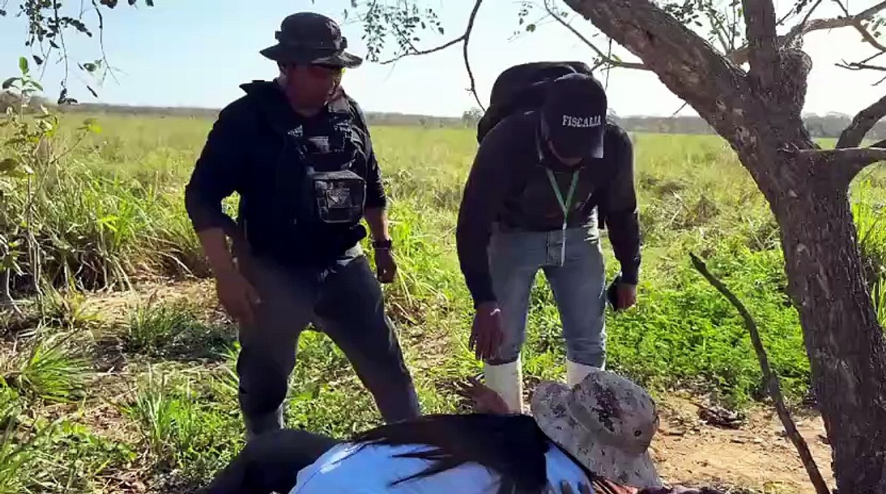 Beni fiscal