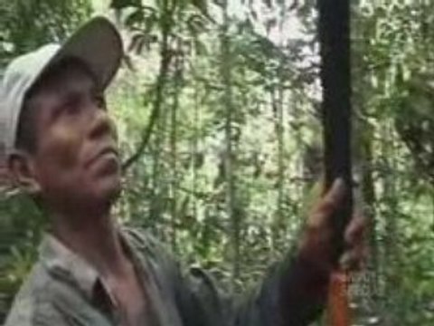 Voyages chamaniques 2_2