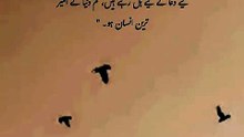 Hazrat Ali Quotes