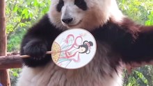 Huahua's Dance Universe｜花花的舞蹈宇宙（19）