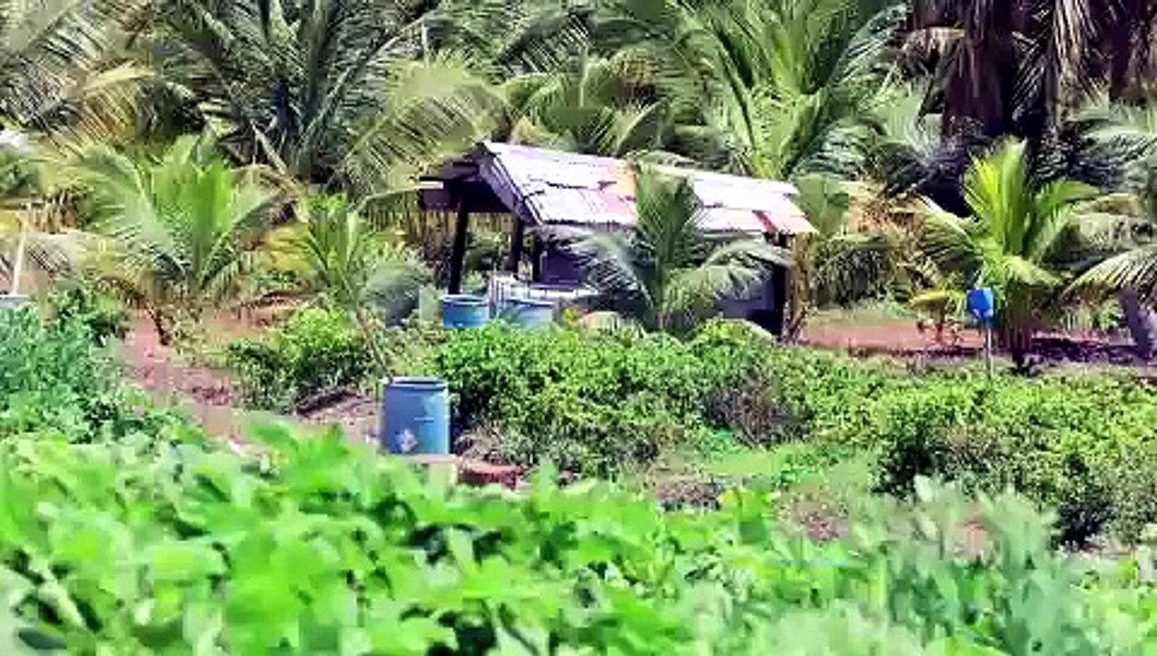 TTPS CONSULTS WITH VALENCIA FARMERS