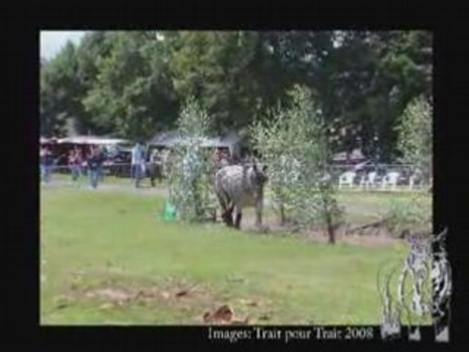 58 la fête du cheval de Hargnies_NEW