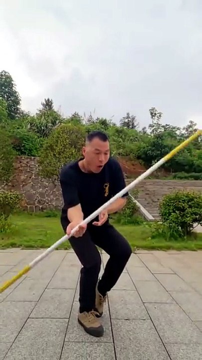 Stick defence