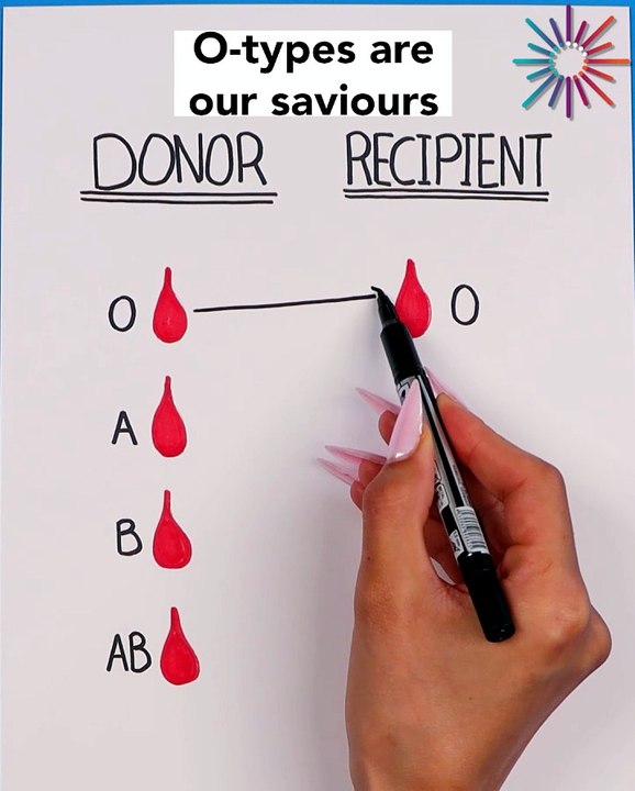 Blood type compatibility made simple