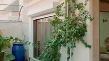 دوو خانوو لە گەرەکی سەربەخۆیی- سێبەردان