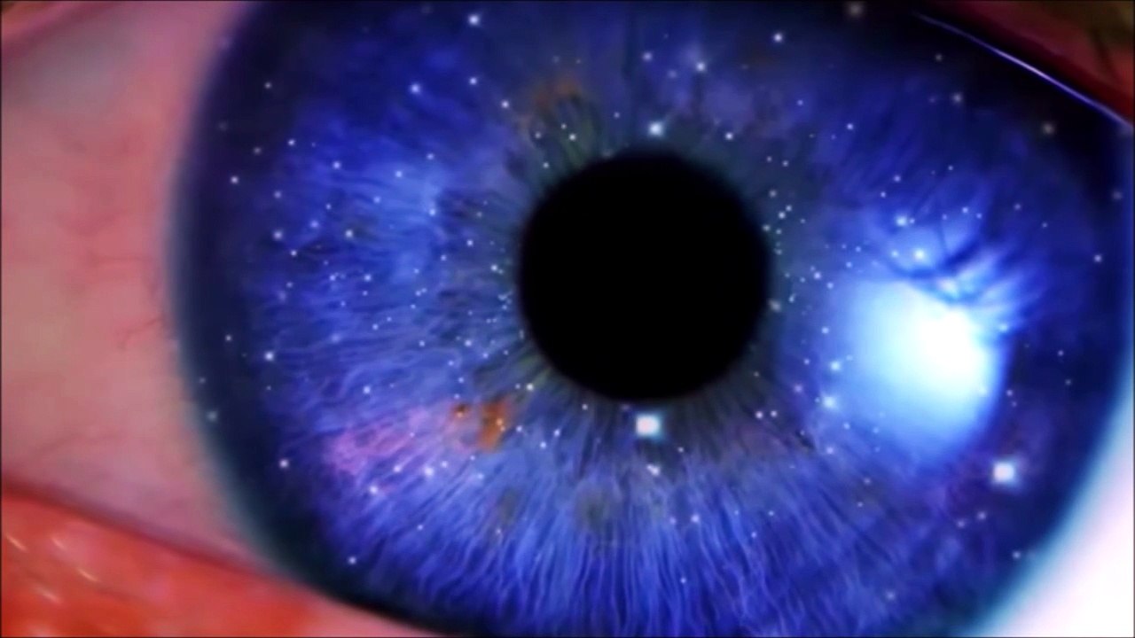Lamb With Radar Eyes By Tangerine Dream - Goblin's Club