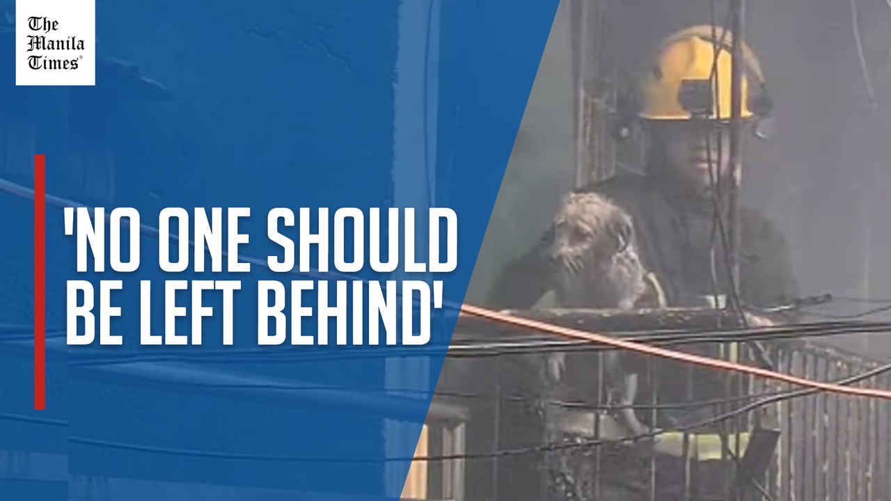 Dog rescued from house on fire in Pasay