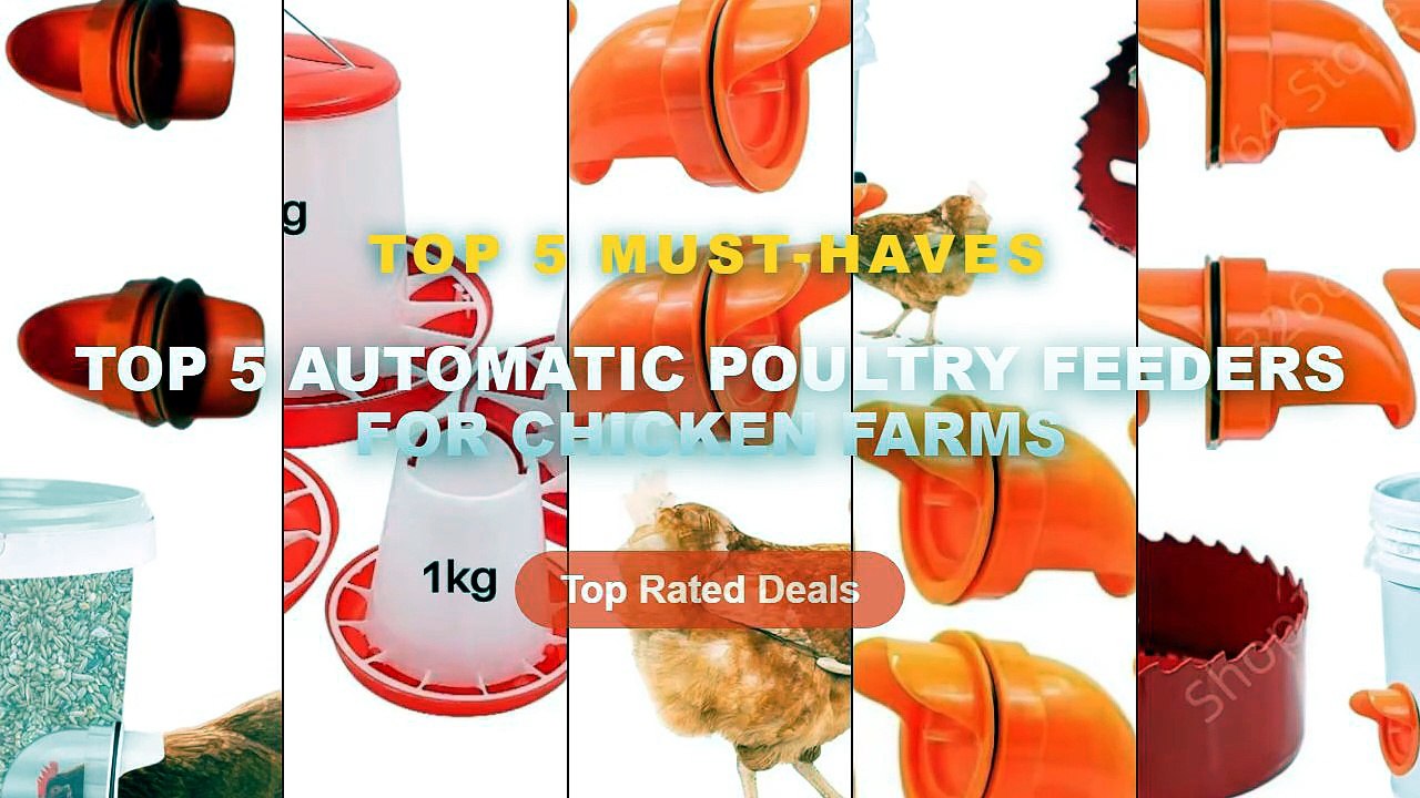 Cheap & Best Top 5 Automatic Poultry Feeders Fo...