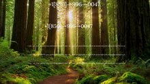 【CENT】[FULL GUIDE] Coinbase® CUSTOMER© SUPPoRT℗ Phone NuMber (OfficiAl)