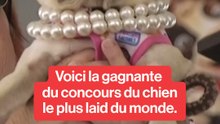 Voici la gagnante du concours du chien le plus laid du monde.