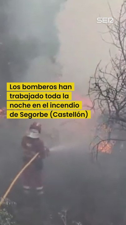 Las labores de extinción en el incendio de Sego...