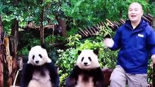 Huahua's Dance Universe｜花花的舞蹈宇宙（20）