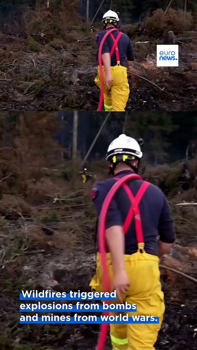 Europe's devastating wildfires unveil deadly ne...