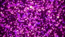 Electrons Freeze! 🧊 Not Like Ice?
