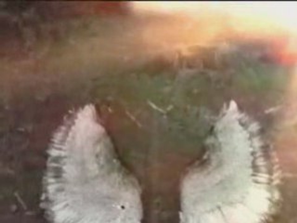 Goldfrapp - Clowns [album version]