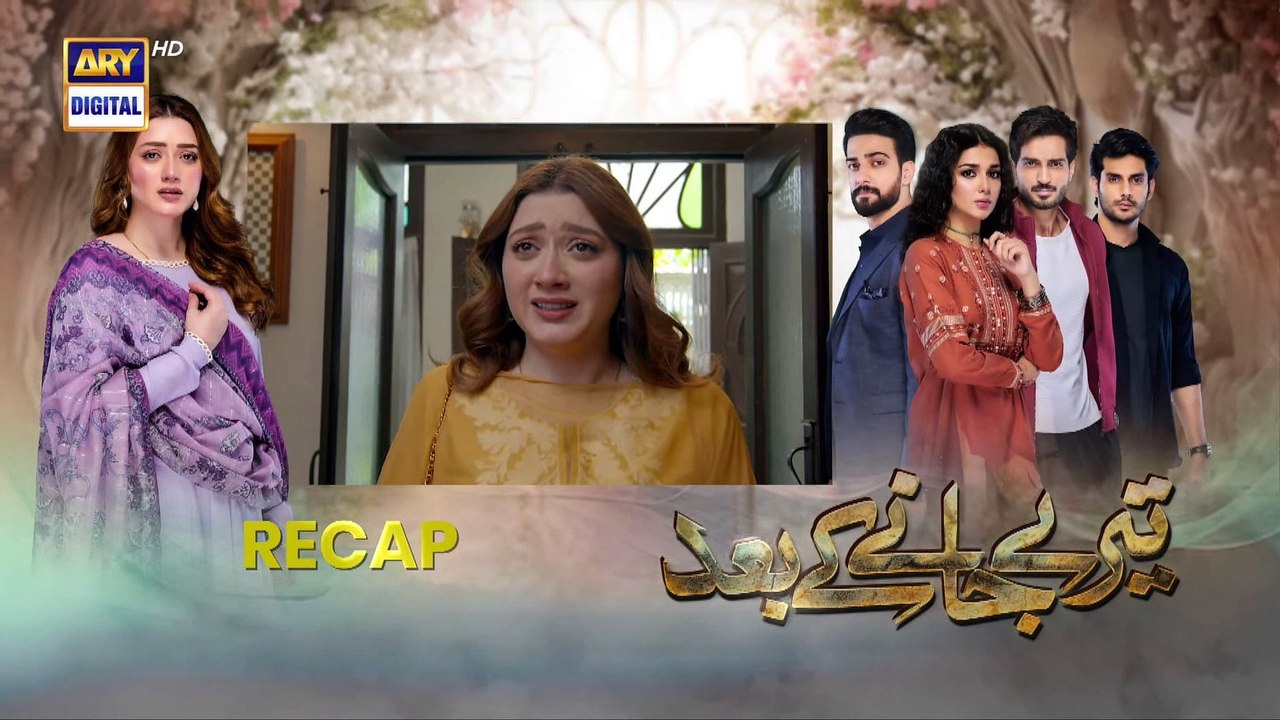Teray Janay Kay Baad Episode 29 - 6 Sep ARY Digital Drama